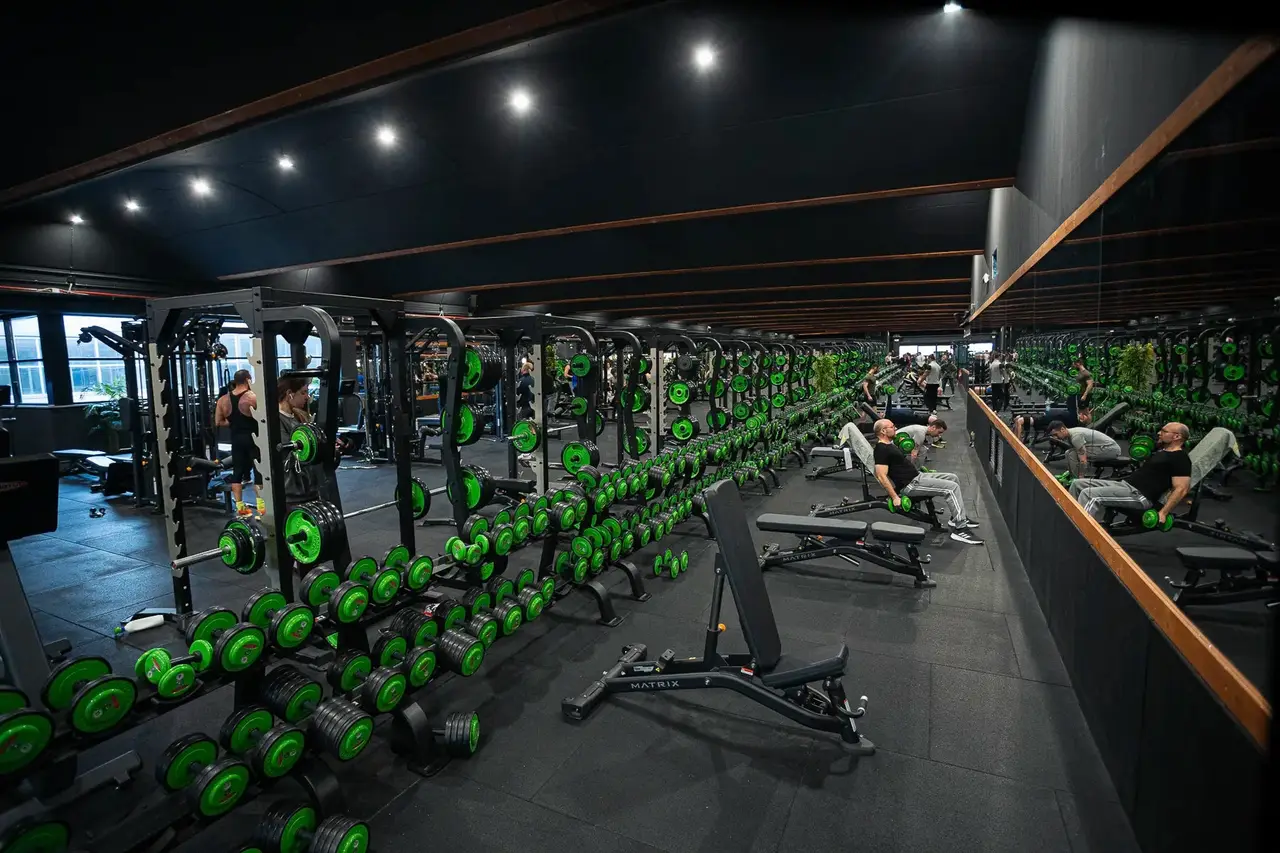 GreenTheory Mecca a Livorno